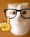 sarasaffari__ Altpins Profile Picture