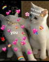 sarasaffari__ Altpins Profile Picture