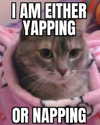 sarasaffari__ Altpins Profile Picture