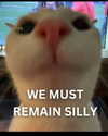 sarasaffari__ Altpins Profile Picture