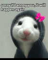 sarasaffari__ Altpins Profile Picture