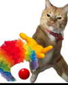 sarasaffari__ Altpins Profile Picture
