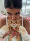 sarasaffari__ Altpins Profile Picture