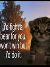 sarasaffari__ Altpins Profile Picture