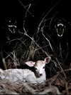 satell11tes Altpins Profile Picture