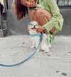 savannahraedemers Altpins Profile Picture
