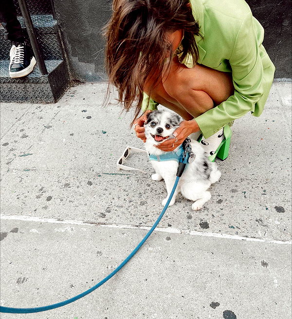savannahraedemers instagram image archive image