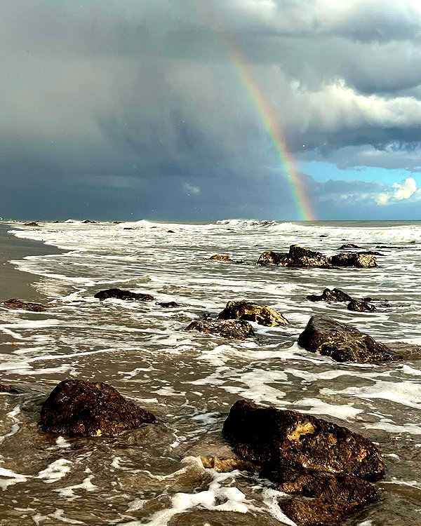 savannahraedemers instagram image archive image