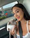 scarletvas Altpins Profile Picture