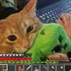 scruffydoomergirl Altpins Profile Picture