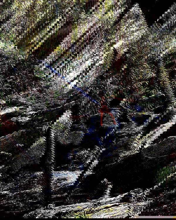 sedonaskyxo sedonaskyxo archive image