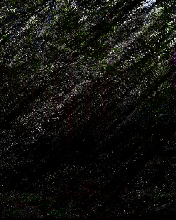 sedonaskyxo sedonaskyxo archive image