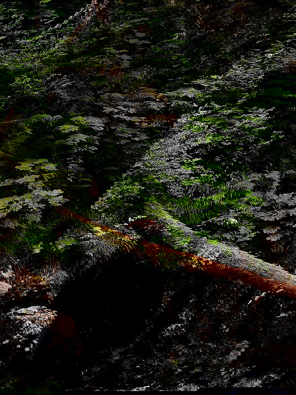 sedonaskyxo sedonaskyxo archive image