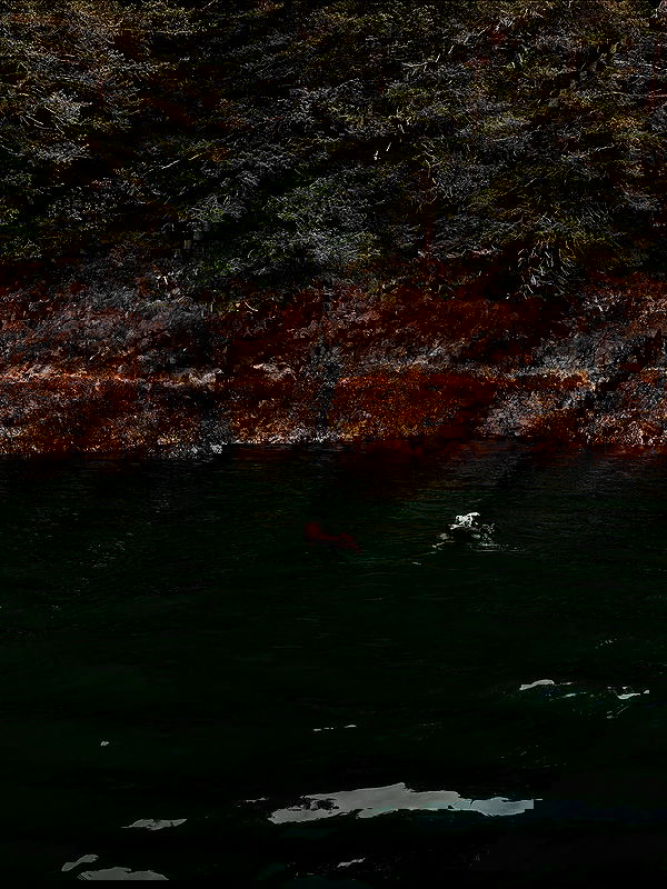 sedonaskyxo sedonaskyxo archive image