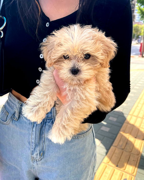 sejinparrk instagram image archive image