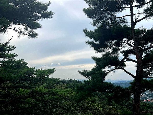 sejinparrk instagram image archive image