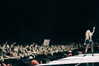 selenagomez Altpins Profile Picture