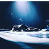 selenagomez Altpins Profile Picture