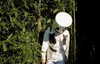 selenagomez Altpins Profile Picture