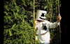 selenagomez Altpins Profile Picture