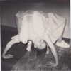 selenagomez Altpins Profile Picture