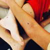 selenagomez Altpins Profile Picture