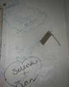 selenagomez Altpins Profile Picture