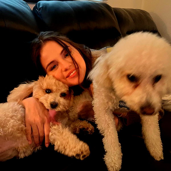 selenagomez instagram image archive image
