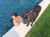 selenagomez Altpins Profile Picture