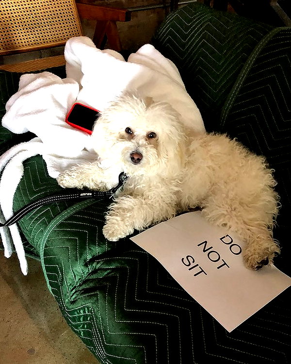 selenagomez instagram image archive image