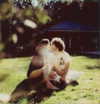 selenagomez Altpins Profile Picture