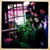 selenagomez Altpins Profile Picture