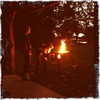 selenagomez Altpins Profile Picture