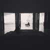 selenagomez Altpins Profile Picture