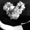 selenagomez Altpins Profile Picture