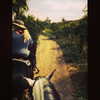 selenagomez Altpins Profile Picture