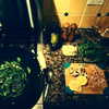 selenagomez Altpins Profile Picture