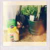 selenagomez Altpins Profile Picture