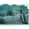 selenagomez Altpins Profile Picture
