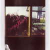 selenagomez Altpins Profile Picture