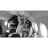 selenagomez Altpins Profile Picture