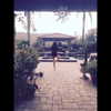 selenagomez Altpins Profile Picture