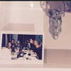 selenagomez Altpins Profile Picture