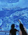 shai_korenn Altpins Profile Picture
