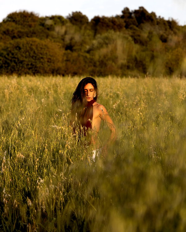 shaipearlman shaipearlman archive image
