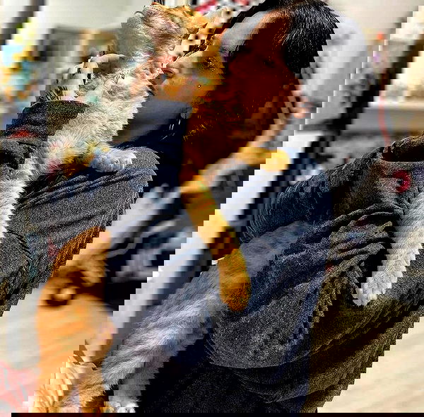 shanikaneko image ~ Altpins