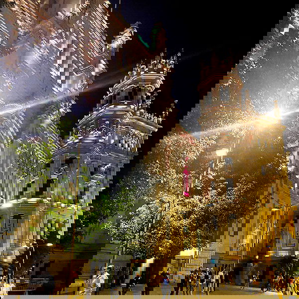 shanikaneko image ~ Altpins