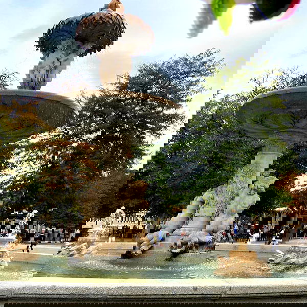 shanikaneko image ~ Altpins