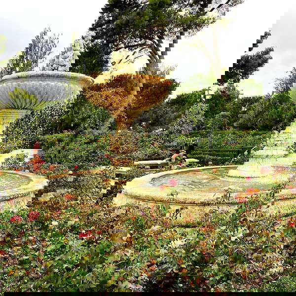 shanikaneko image ~ Altpins