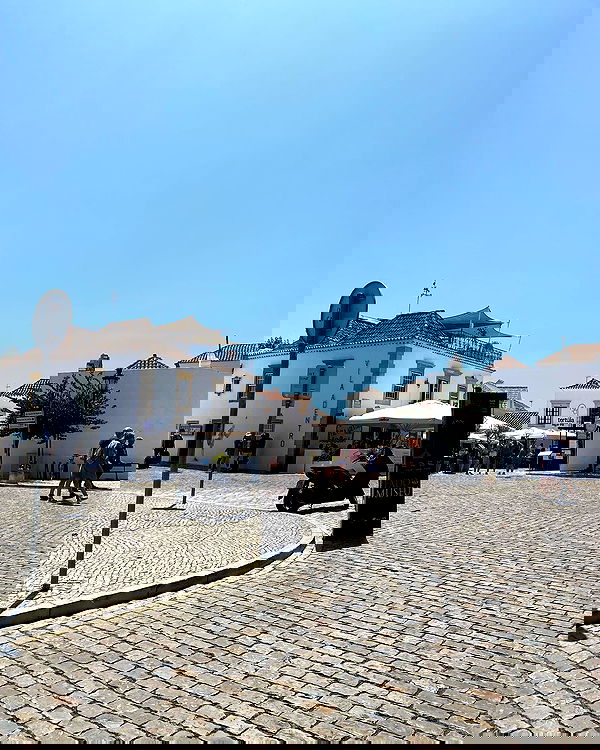 shanikaneko image ~ Altpins